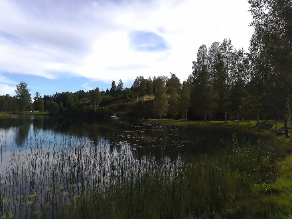 Vyn visar en del av viken och stranden.