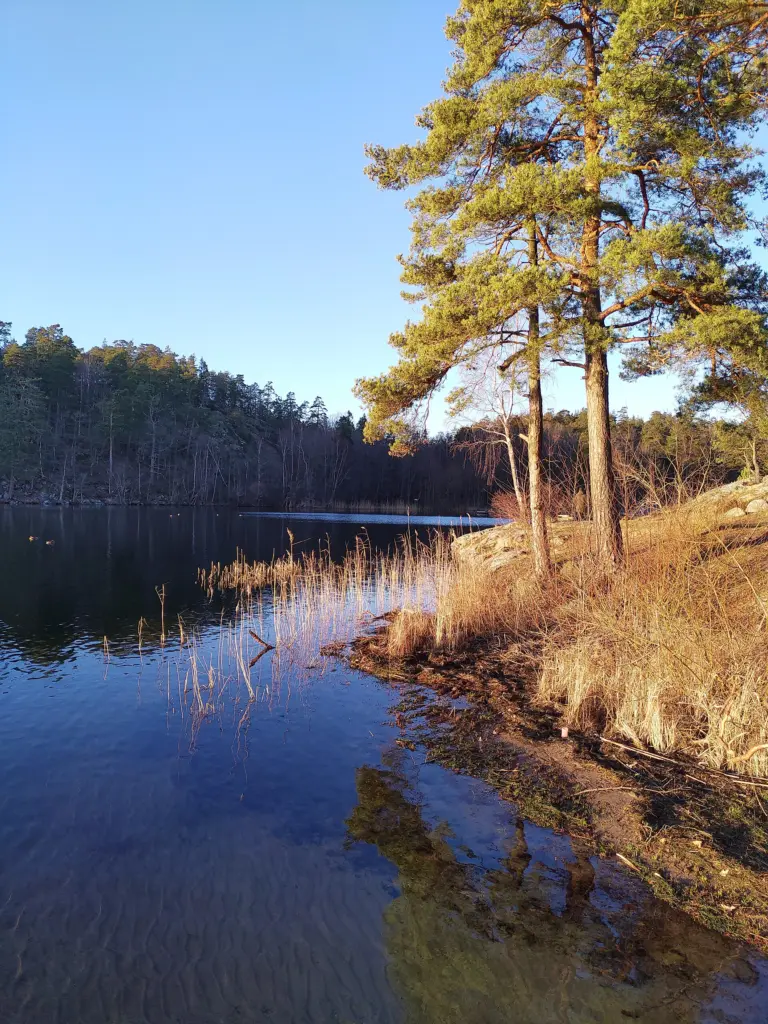 The Flaten nature reserve is located in the province of Södermanland, and in the municipality of Stockholm in Stockholm County, Sweden.