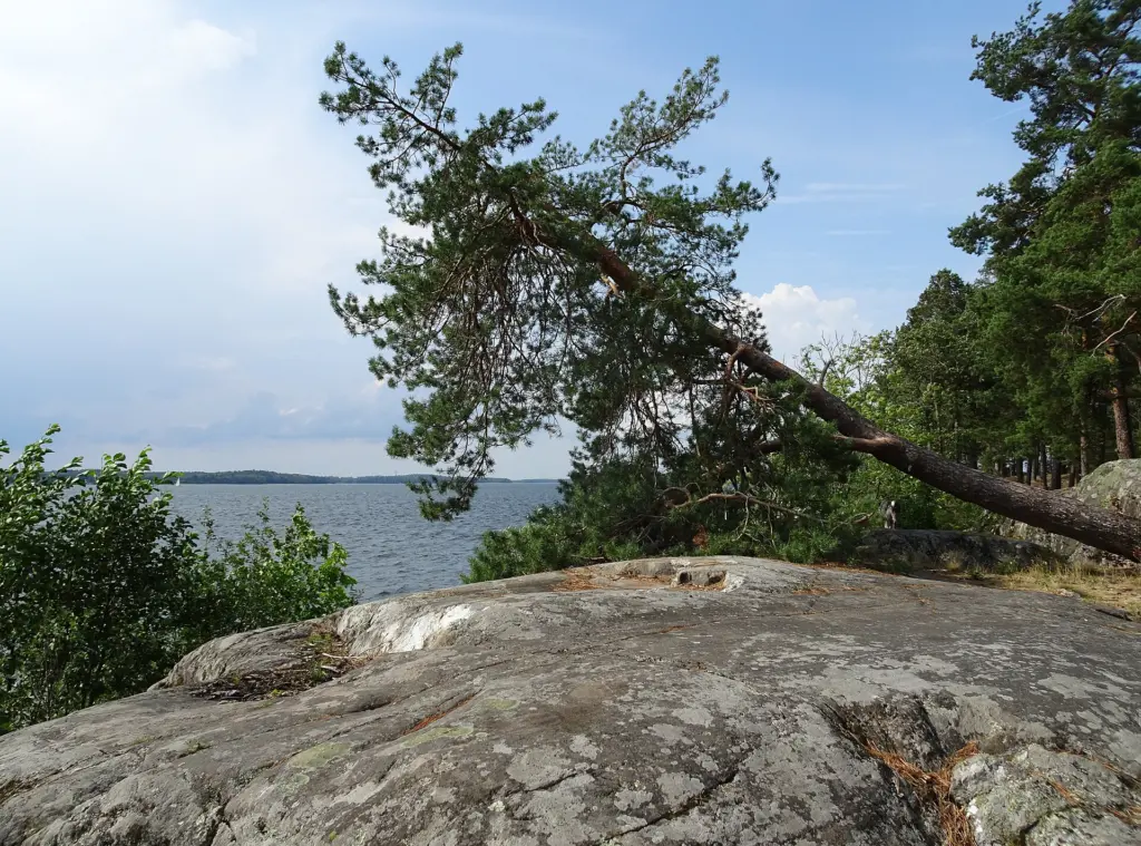Frölunda naturreservat