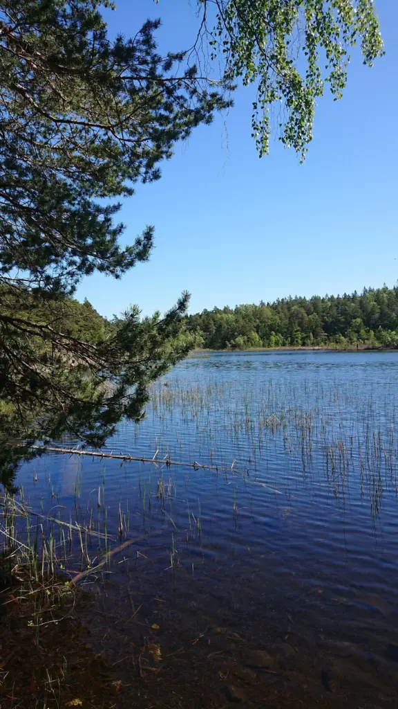 This is a photo of a protected natural area in Sweden with ID: 2001392 .