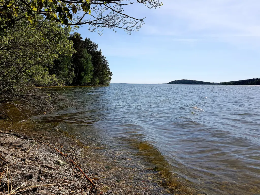 Naturreservatet Härjarö ligger på en halvö i Mälaren.