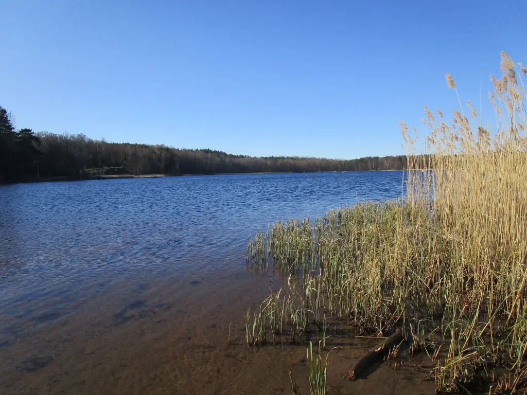 Härlanda tjärn från stranden i nordöst 30 mars 2020.
