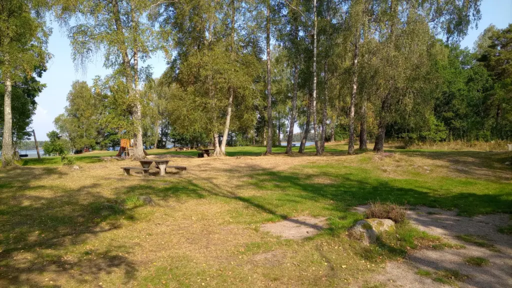 Gräsyta vid Näsudden som ligger i sjön Hindsen