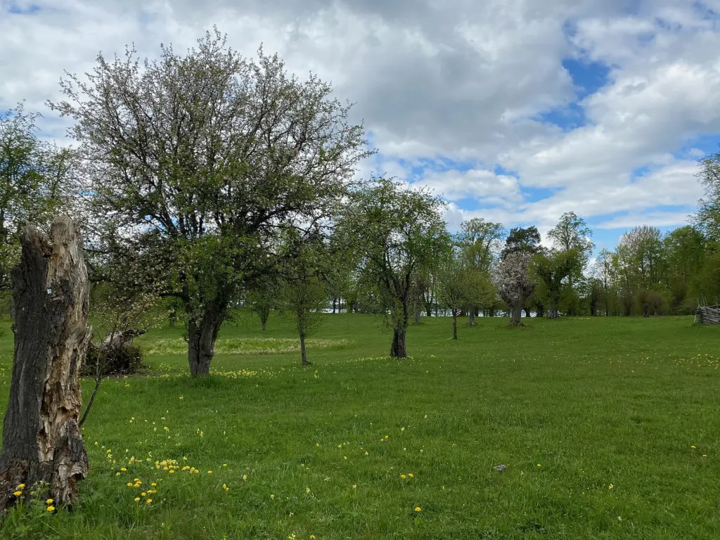 Vy över Hallstad ängar