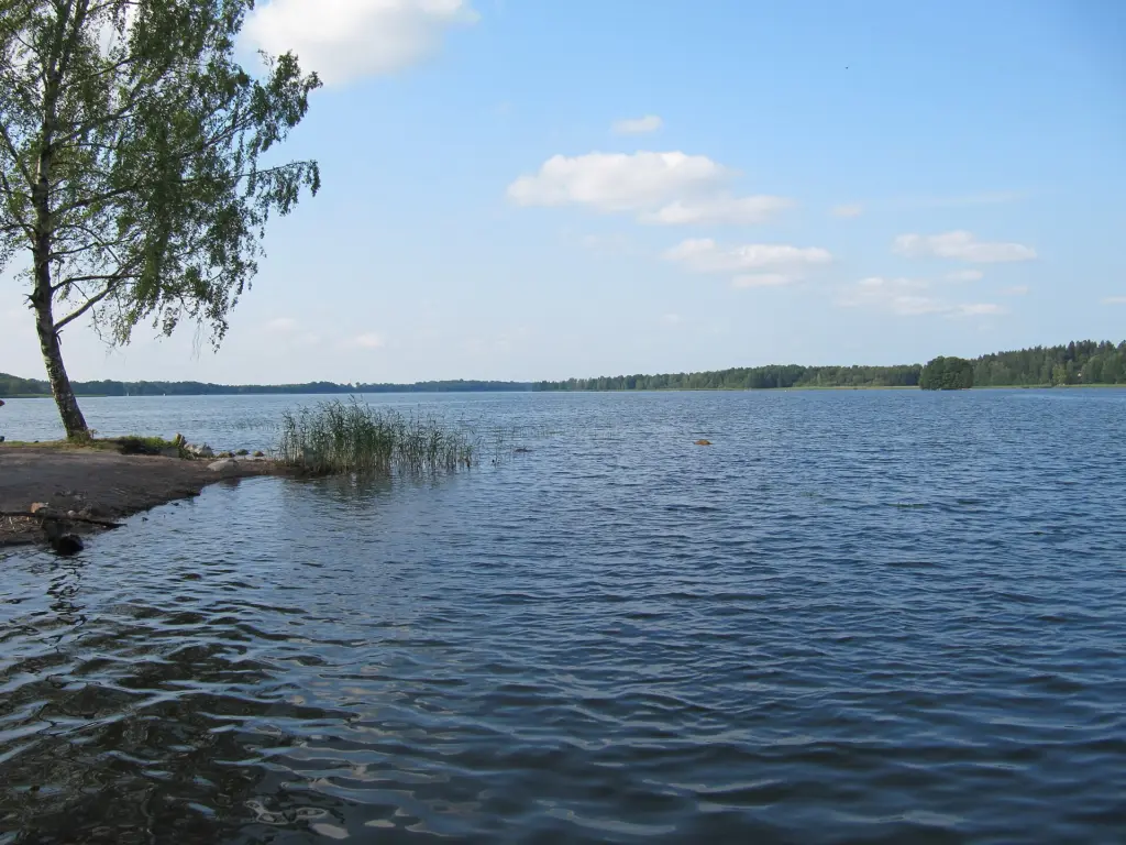Bild från badplatsen vid södra delen av Långsjön.