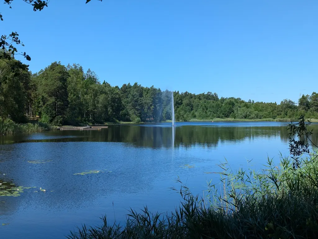 Linneasjön i Nybro