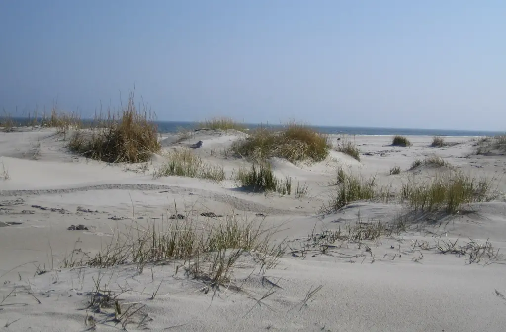 The beach at Mälarhusen, Skåne, Sweden