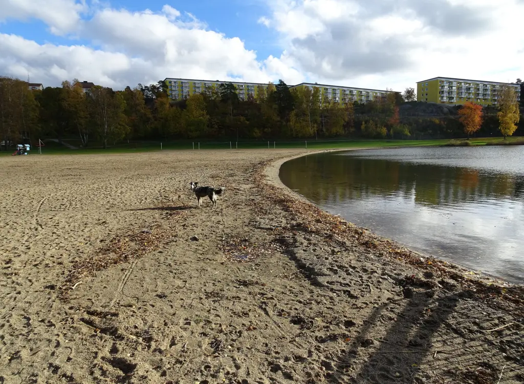 Nickstabadet i Nynäsviken, Nynäshamn