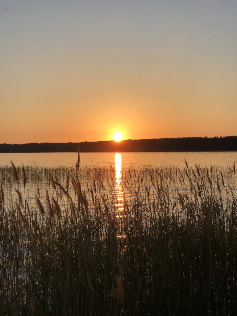 Solnedgång över sjön Örlen i Fagersanna som ligger i Skaraborg.