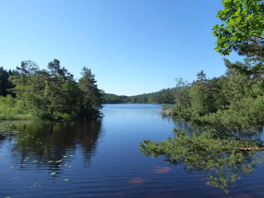 Prästtjärnen (Västra Götaland, Sverige) från N den 14 juni 2020.
