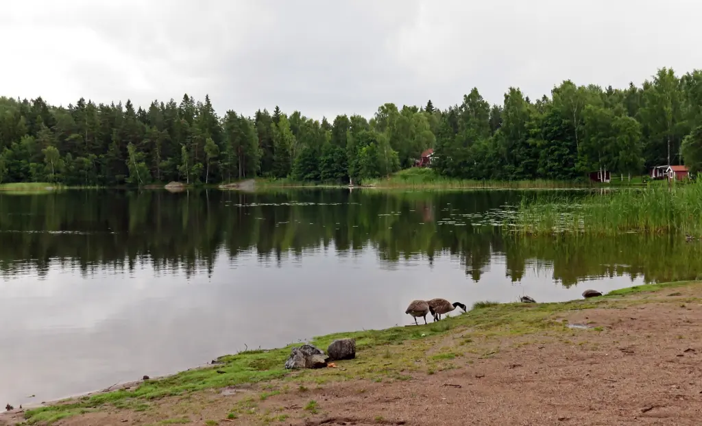 Ramsjön