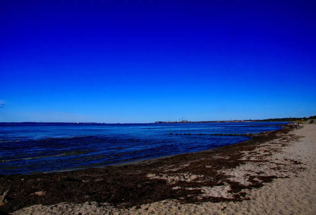 Rydebäck. På Fortuna strand.