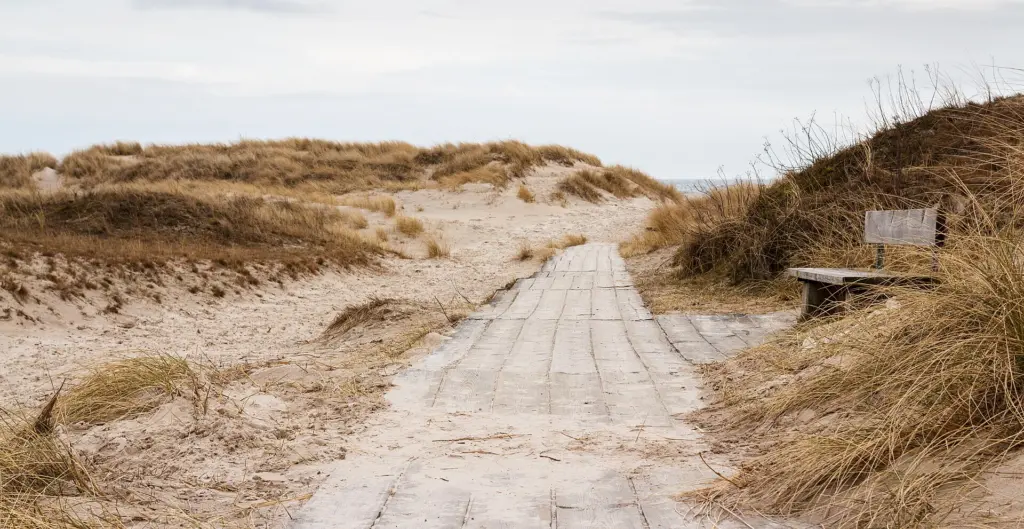 Wooden path to the beach at Sandhammaren, Scania, Sweden