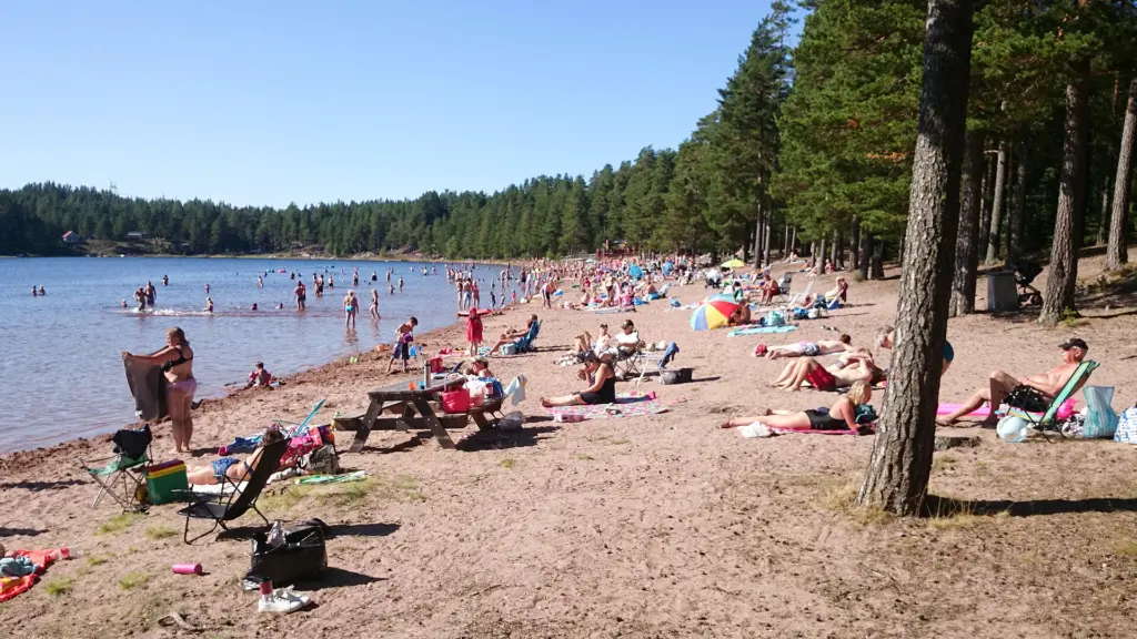 Badstranden vid Dammsjön, Säters kommun, Dalarnas län, Sverige