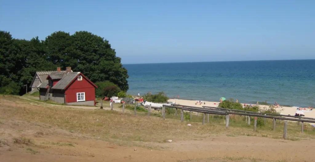 Beach surroundings near Stenshuvud