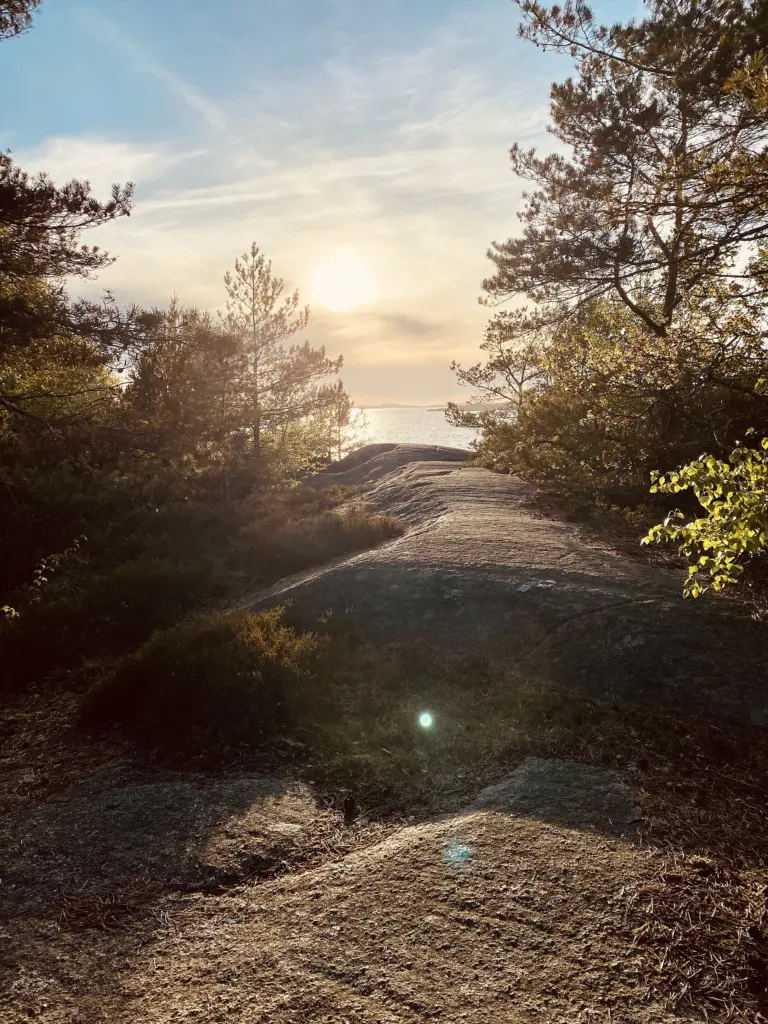 The island Stora Amundön offers wonderful spots for swimming and a diversified landscape, ranging from coastal meadows to oak forests. Here you will find cliffs
