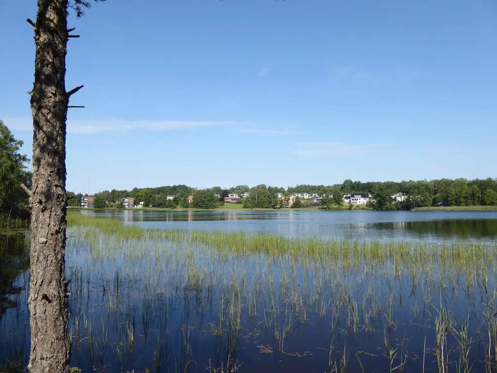 Stora Hålsjön (Västergötland, Sverige) från SE den 7 augusti 2020.