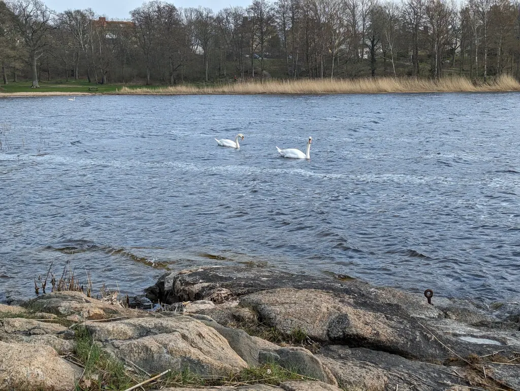 Studentviken, badplats (badplats i Karlskrona kommun)