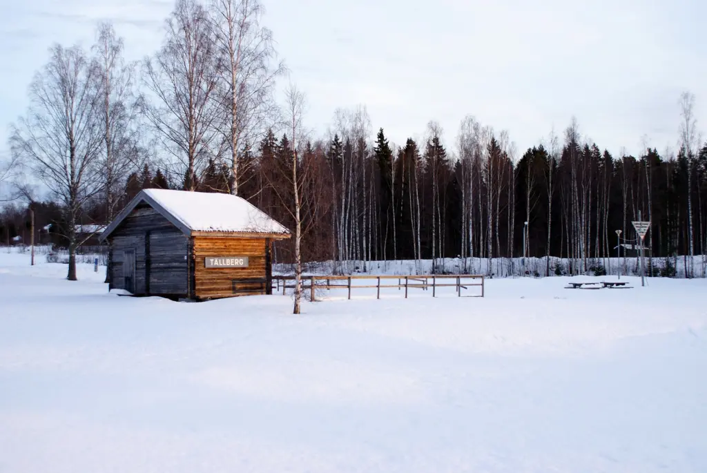 Tällberg i januari 2011.