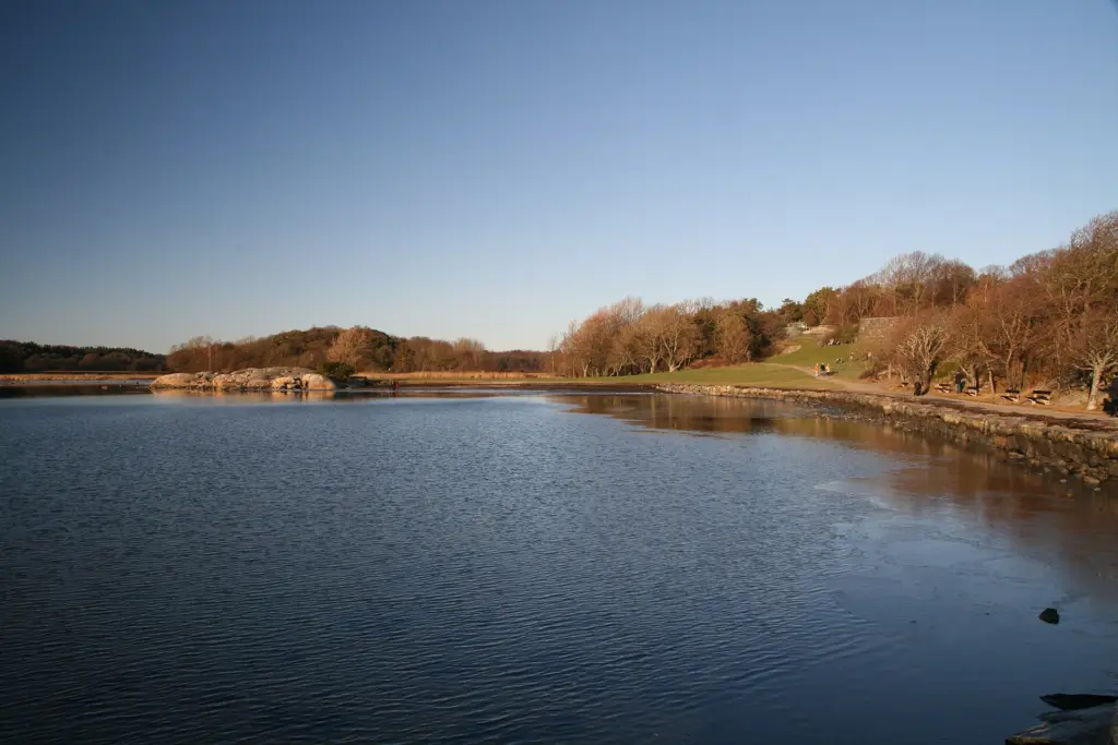 The shoreline of the fjord of Kungsbacka, close to the castle of Tjolöholm, south of Kungsbacka, Sweden. The castle wall can be seen in up the hill to the right