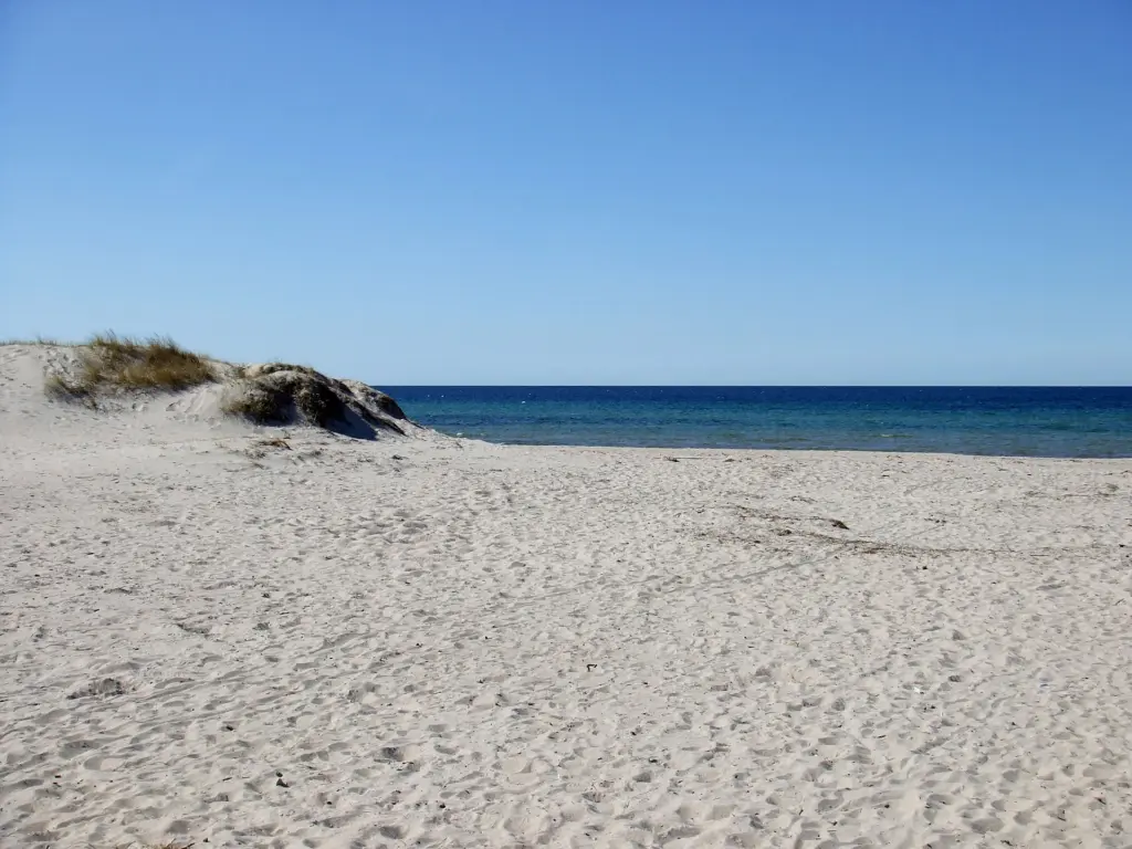 Sand dunes at Tofta beach by the entrance from the parking lot. Gotland, Sweden.