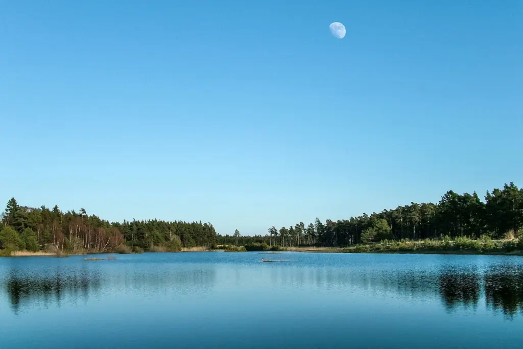 Moonrise over Toftagropen pond in Tofta, Gotland, Sweden.