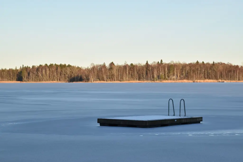 Vällen sjö, vintertid, Svanhusskogen, fån badplatsen Ljusdal