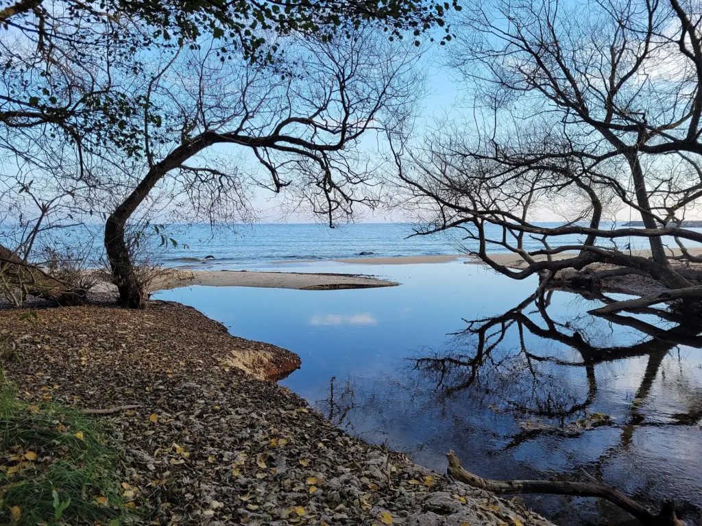 The beautiful coastline of Österlen in the southern part of Sweden